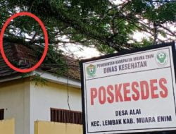 Beringin Tua Di Persimpangan 3 Desa Alai Resahkan ,Warga Minta Bantuan Pihak Terkait