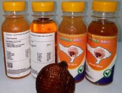 Dosen FTP UNUD Teliti Minuman Sari Buah Salak Lokal Bali Jadi Produk Inovasi dan Produk Development Ciri Khas Daerah Bali