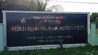 Ada Apa ….? Tanah Aset  Dinas  Pertanian Provinsi  Tidak Sesuai Dengan Peruntukannya