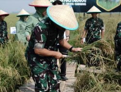 Antisipasi Krisis Pangan, Kasad Perintahkan Manfaatkan Lahan Tidur