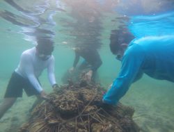 Selamatkan Ekosistem Air, Kelompok Sungai Bahari Intaran Tanam Terumbu Karang