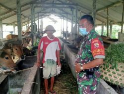 Real Aksi Tangkal PMK, Kodim Klungkung Bersama Instansi Terkait Terus Bergerak