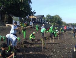 Mencegah Abrasi Muara Sungai Banyumala, Pantai Pidada Ditanami 400 Mangrove Pidada