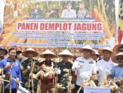 Dukung Ketahanan Pangan di OKU Selatan, Danrem 044/Gapo Hadiri Panen Jagung