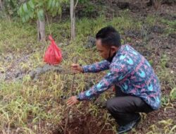 Menanam Kebaikan di Muka Bumi