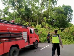 Pohon Tumbang dan Bangunan Roboh di Denpasar Terjadi di 11 Lokasi, Ini Himbauan Polda Bali
