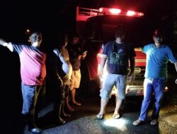 Evakuasi Pohon Tumbang, Pihak Kecamatan Dan Damkar Bantu Petugas PLN