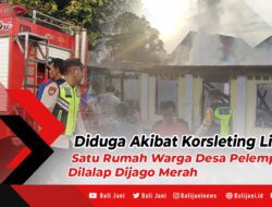 Diduga Akibat Korsleting Listrik, Satu Rumah Warga Desa Pelempang, Dilalap Dijago Merah