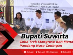 Bupati Suwirta Coba Trek Mangrove dan Menara Pandang Nusa Ceningan