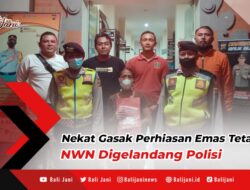 Nekat Gasak Perhiasan Emas Tetangga, NWN Digelandang Polisi