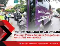 Pohon Tumbang di Jalur Bandara, Personil Polres Bandara Pengaturan Lalin Antisifasi Kemacetan