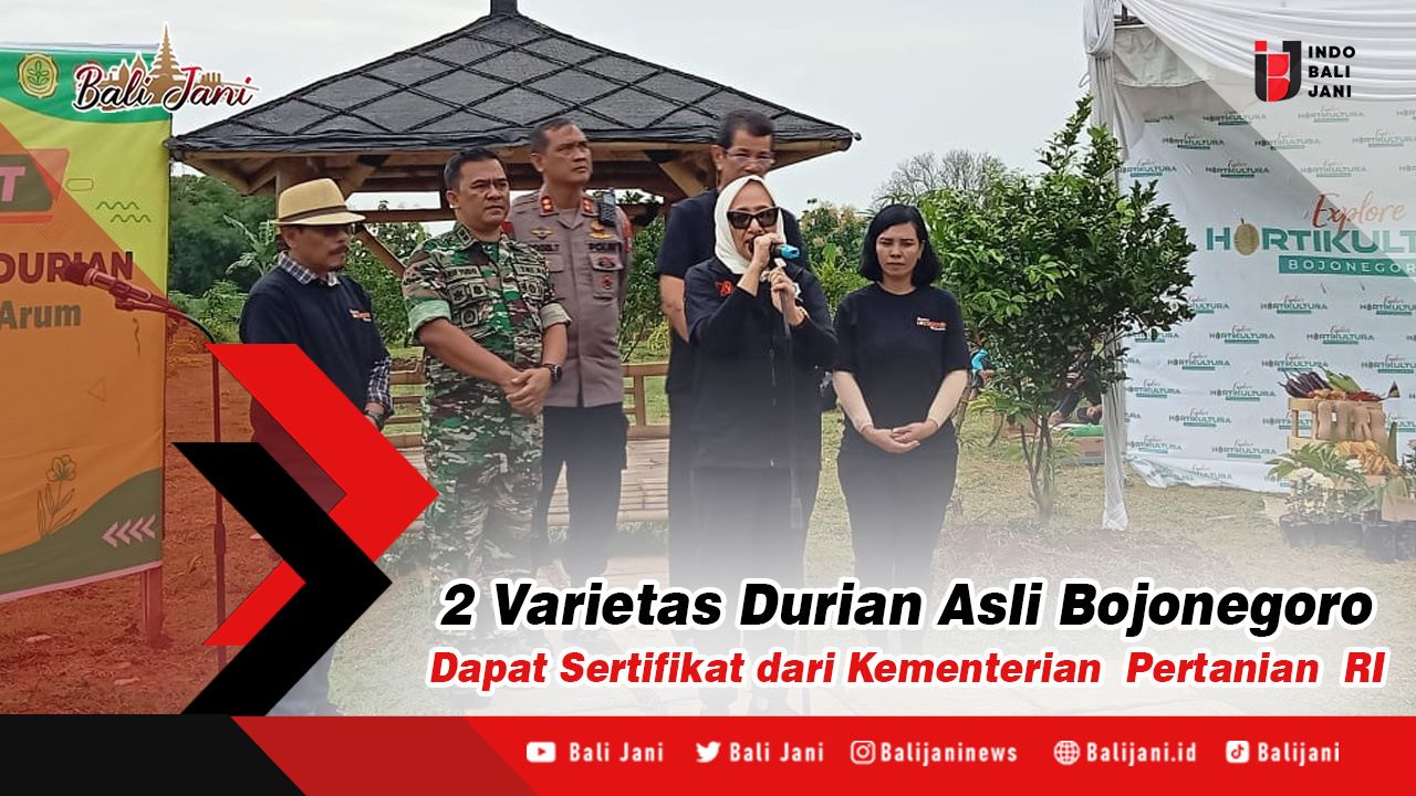 2 Varietas Durian Asli Bojonegoro Dapat Sertifikat Dari Kementerian