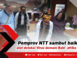 Pemprov NTT sambut baik alat deteksi Virus demam Babi afrika ASF