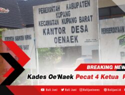 Kades Oe’Naek Pecat 4 Ketua RT/Rw