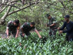 Peduli Dengan Lingkungan, Kodim 0421/Lampung Selatan Gelar Program Penanaman mangrove