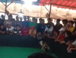 Merasa Kebal Hukum : Judi Sabung Ayam Di Desa Gunungan, Kec.Dawar Blandong, Kab.Mojokerto “Lancar Aman Terkendali”