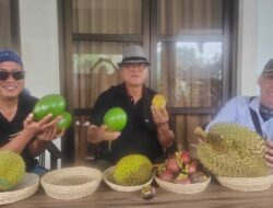 Anggota DPRD Provinsi Bali Nyoman Ray Yusha Meninjau langsung Sabda Alam Agro Magnet Wisata Buah di Desa Tajun