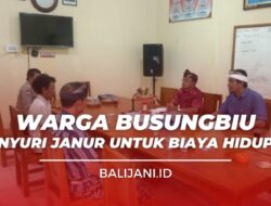 Warga Busungbiu Nyuri Janur Untuk Biaya Hidup