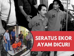Seratus Ekor Ayam Dicuri, Polsek Gerokgak Tangkap Dua Pelaku