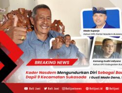Kader Nasdem Mengundurkan Diri Sebagai Bacaleg Dapil 9 Kecamatan Sukasada