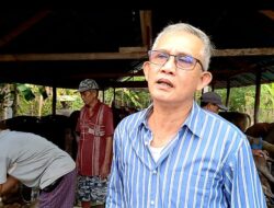Akibat Proses Administrasi Lambat, Peternak Cenderung Merugi Akibat Tambahan Biaya Pakan