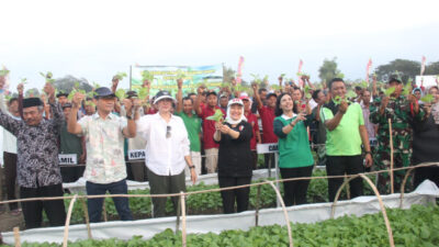 Bupati Bojonegoro Serahkan Bibit Tembakau kepada Petani, Berharap Bisa Panen Melimpah