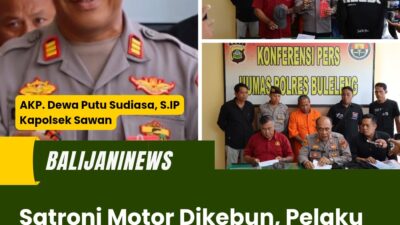 Satroni Motor Dikebun, Pelaku Curanmor Dibekuk Polisi