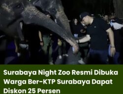 Surabaya Night Zoo Resmi Dibuka Warga Ber-KTP Surabaya Dapat Diskon 25 Persen
