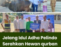 Jelang Idul Adha Pelindo Serahkan Hewan qurban