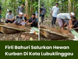 Firli Bahuri Salurkan Hewan Kurban Di Kota Lubuklinggau