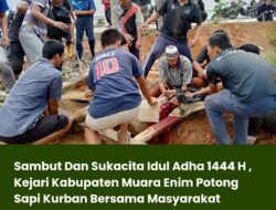 Sambut Dan Sukacita Idul Adha 1444 H , Kejari Kabupaten Muara Enim Potong Sapi Kurban Bersama Masyarakat