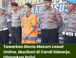 Tawarkan Bisnis Mesum Lewat Online,  Mucikari di Candi Sidoarjo, Ditangkap Polisi