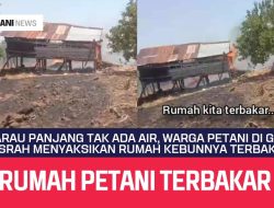 Kemarau Panjang Tak Ada Air, Warga Petani di Gowa Pasrah Menyaksikan Rumah Kebunnya Terbakar