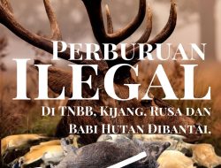 Perburuan Ilegal Di TNBB, Kijang, Rusa dan Babi Hutan Dibantai, Pelaku Melarikan Diri