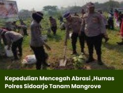 Kepedulian Mencegah Abrasi ,Humas Polres Sidoarjo Tanam Mangrove