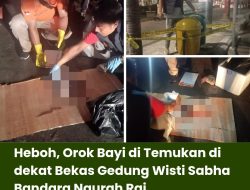 Heboh, Orok Bayi di Temukan di dekat Bekas Gedung Wisti Sabha Bandara Ngurah Rai