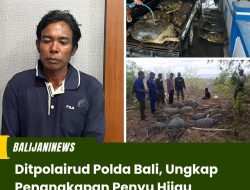 Ditpolairud Polda Bali, Ungkap Penangkapan Penyu Hijau