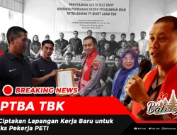 PTBA TBK Ciptakan Lapangan Kerja Baru untuk Eks Pekerja PETI