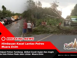 Himbauan Kasat Lantas Polres Muara Enim   Antisipasi Pohon Tumbang Akibat Curah Hujan Dan Angin Serta Usia Pohon Pada Jalur Lintas Muara Enim