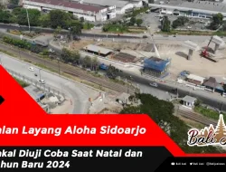 Jalan Layang Aloha Sidoarjo, Bakal Diuji Coba Saat Natal dan Tahun Baru 2024