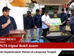 PLTS Irigasi Bukit Asam (PTBA) Sejahterakan Petani di Lampung Tengah