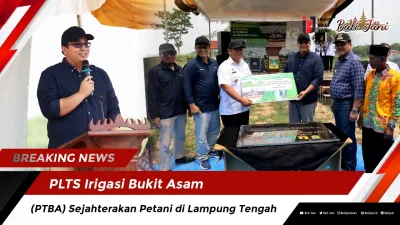 PLTS Irigasi Bukit Asam (PTBA) Sejahterakan Petani di Lampung Tengah