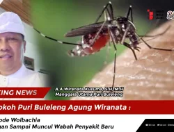 Tokoh Puri Buleleng Agung Wiranata : Metode Wolbachia Jangan Sampai Muncul Wabah Penyakit Baru