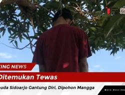 Ditemukan Tewas Pemuda Sidoarjo Gantung Diri, Dipohon Mangga