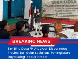 Tim Bina Desa FP Unud dan Disperindag Provinsi Bali Gelar Sosialisasi Peningkatan Daya Saing Produk Stroberi