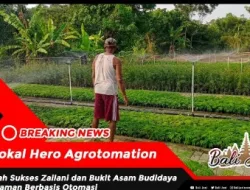 Lokal Hero Agrotomation , Kisah Sukses Zailani dan Bukit Asam Budidaya Tanaman Berbasis Otomasi