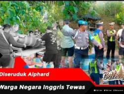 Diseruduk Alphard, Warga Negara Inggris Tewas