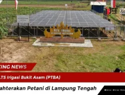 PLTS Irigasi Bukit Asam (PTBA) Sejahterakan Petani di Lampung Tengah