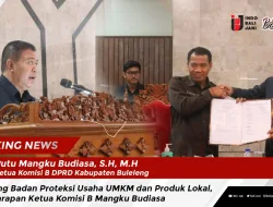 Pasang Badan Proteksi Usaha UMKM dan Produk Lokal, Ini Harapan Ketua Komisi B Mangku Budiasa