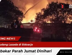 Gudang Lazada di Sidoarjo, Terbakar Parah Jumat Dinihari